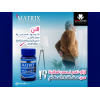 MATRIX BONES SUPPORT DIETARY SUPPLEMENT — SOURCE OF CALCIUM, VITAMINS & MINERALS 20 CAPSULES